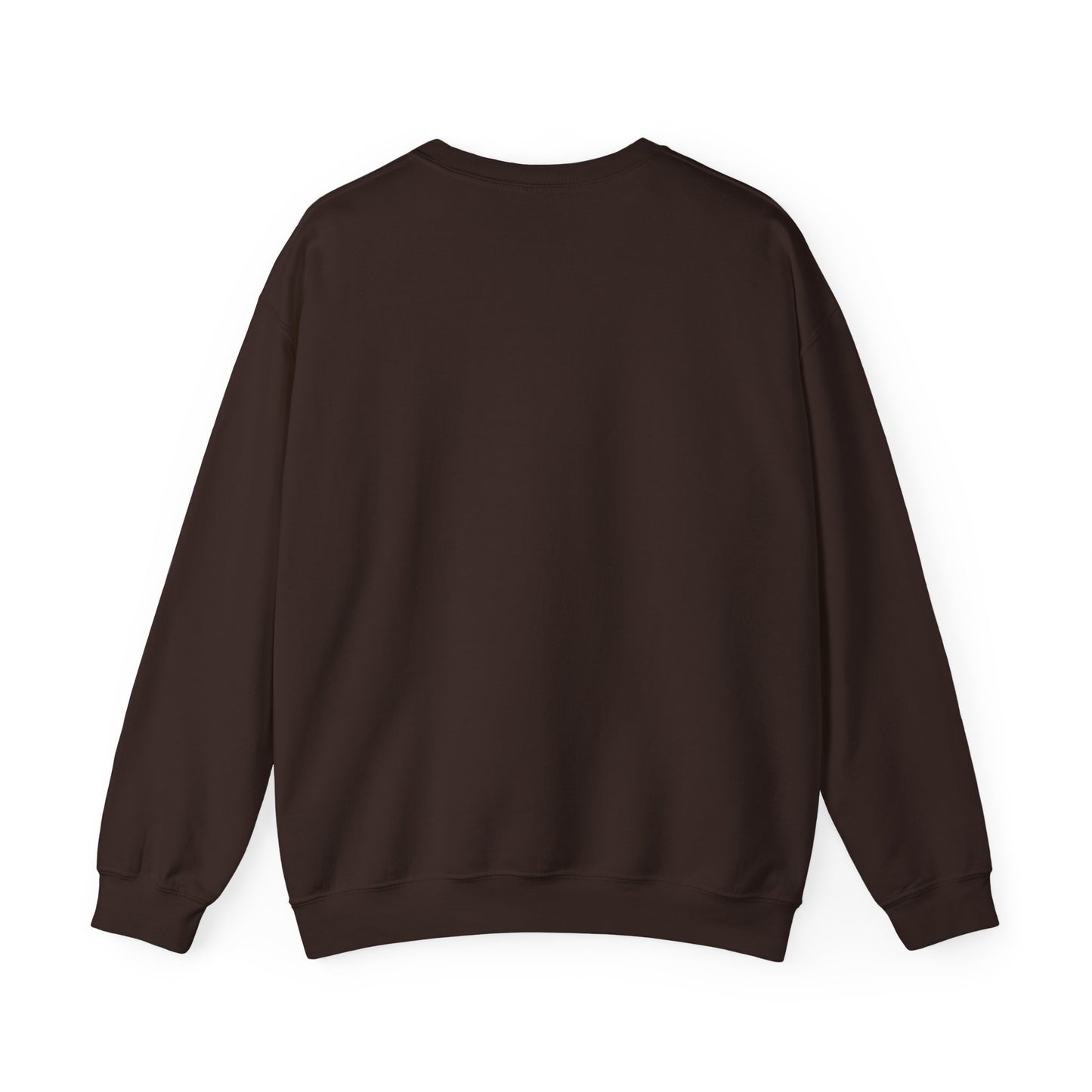 The Raider - Barbed Skull Crossbones Unisex Sweater