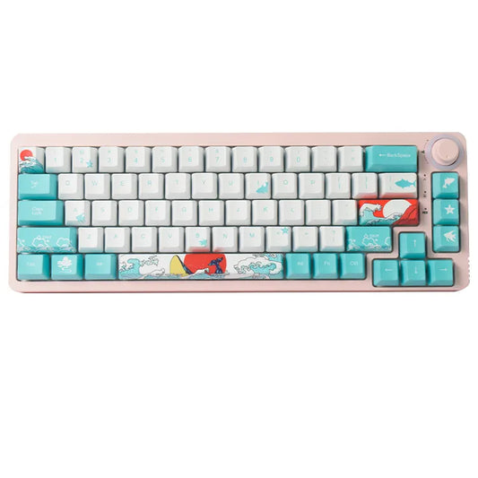 Ronin A680 Gaming Mechanical Keyboard 68 Key