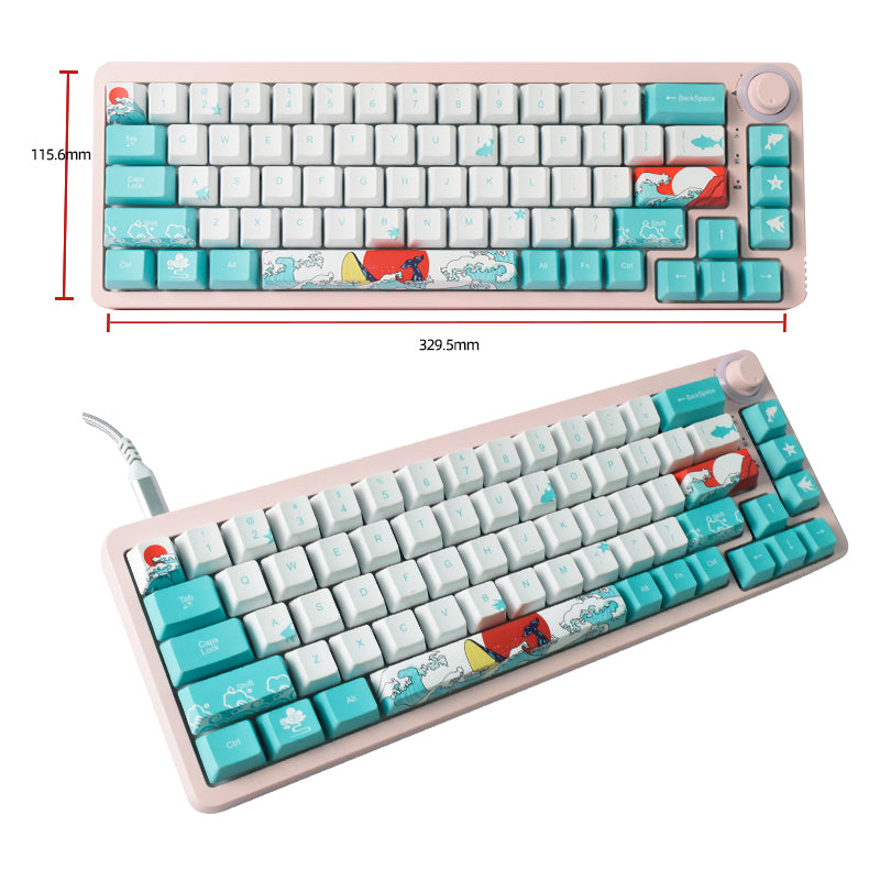 Ronin A680 Gaming Mechanical Keyboard 68 Key