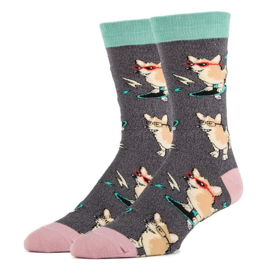 Corgi Boi - Men's Cotton Crew Funny Socks